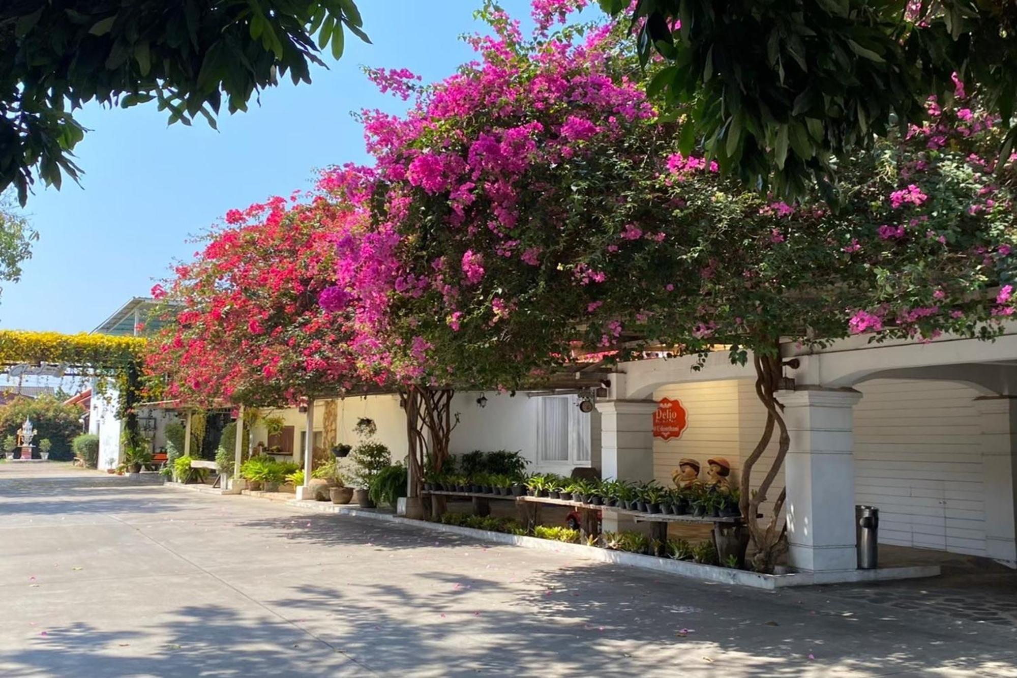Delio Boutique Hotel Udon Thani Exterior photo